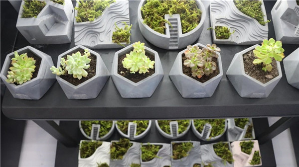 1629860103361649.jpg 9.jpg