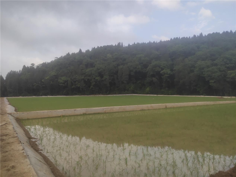 1630657443374752.png 4-1.png